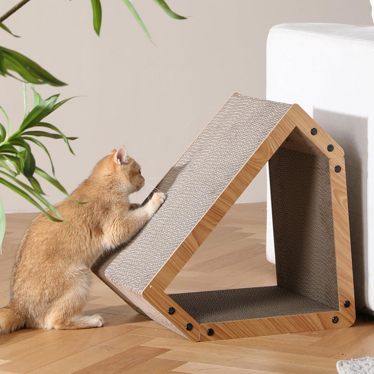 Cat Scratcher House