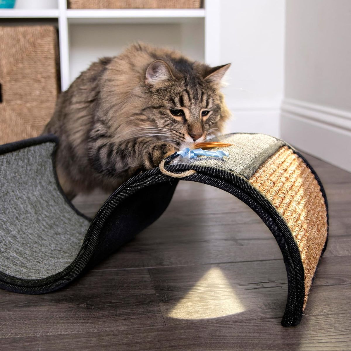 Carpet Cat Scratcher