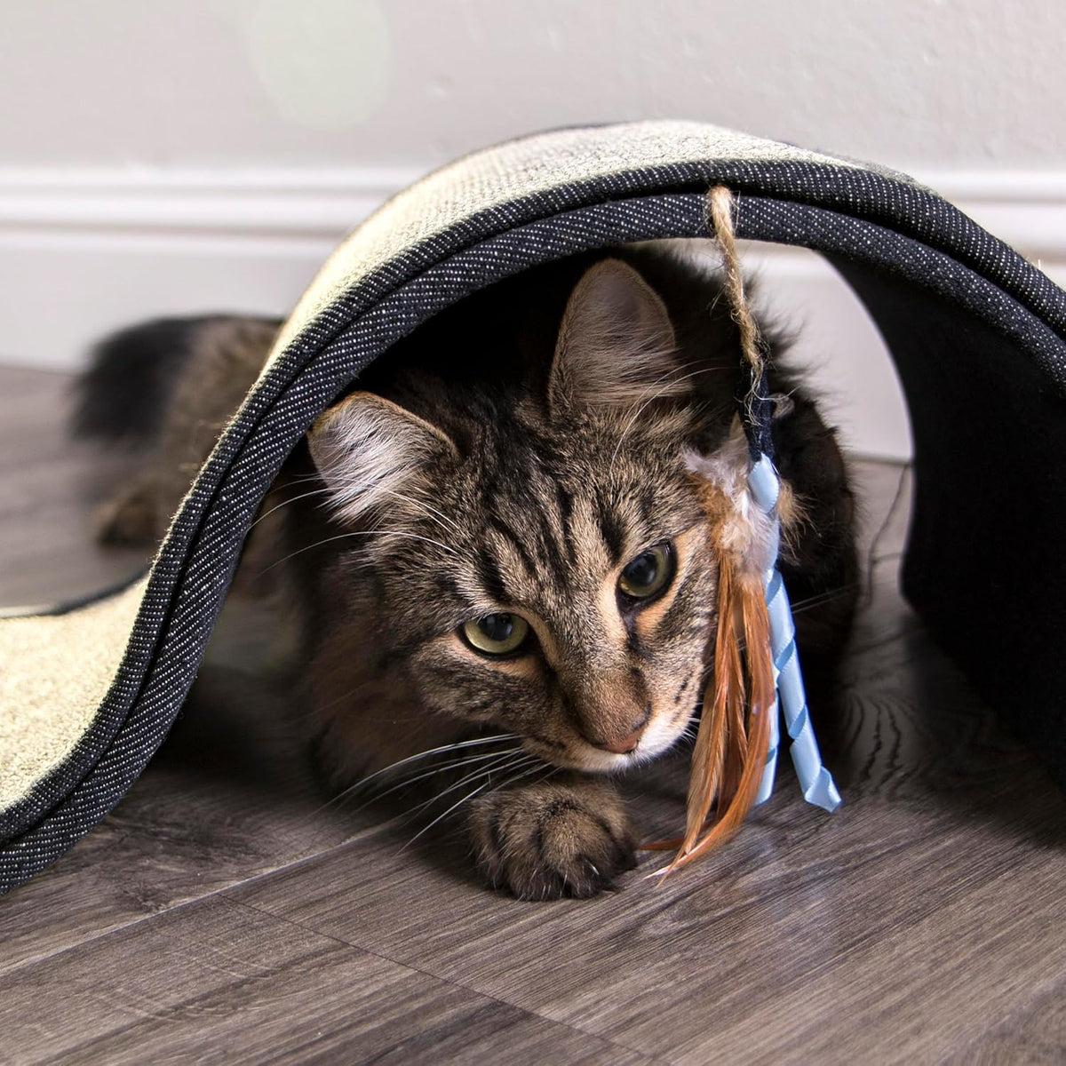 Carpet Cat Scratcher